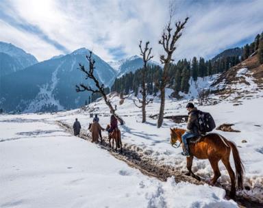 Jammu To Katra   9N 10D